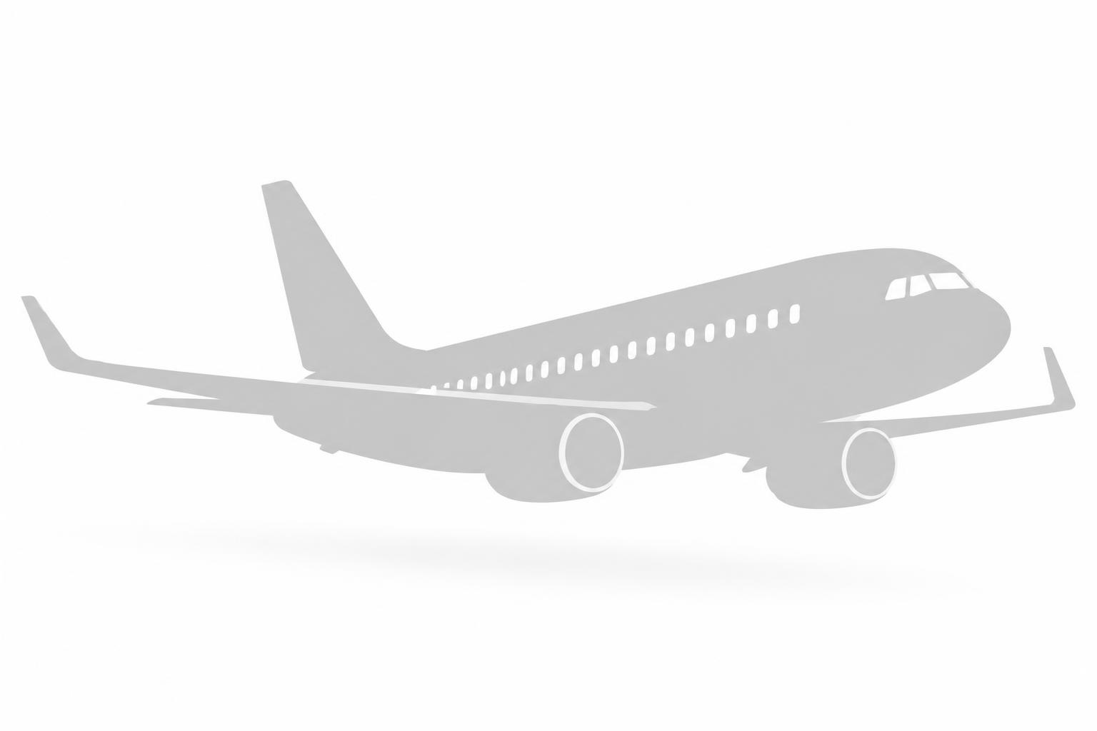 LINEAS AEREAS DEL SUR S.A.