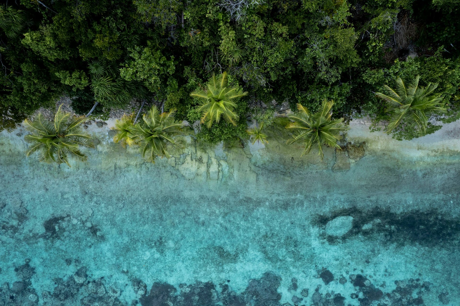 Raja Ampat tropical paradise