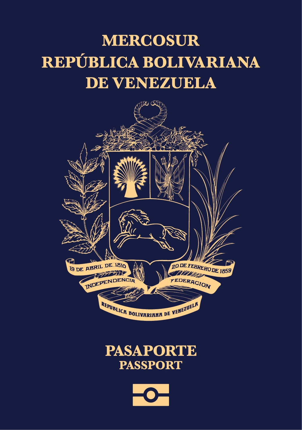 Paspor Venezuela